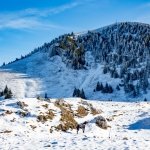 Der Hochgern im Winter