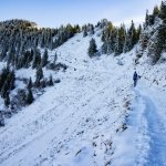 Der Weg schlängelt sich durch den winterlichen Schnee