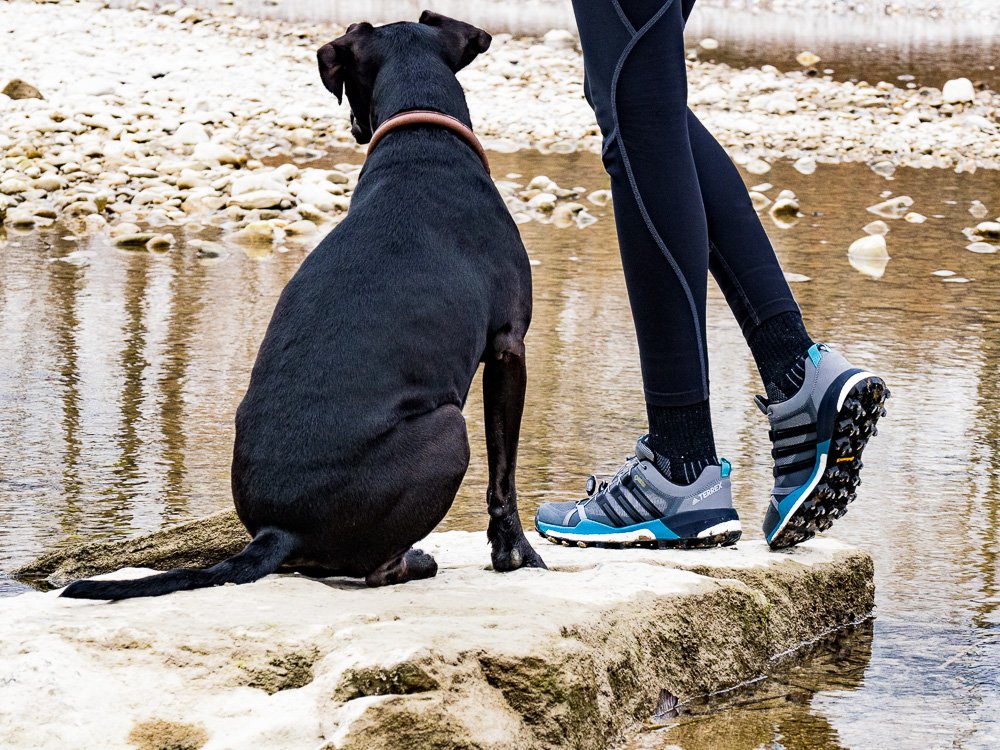 ▷ adidas TERREX Trailrunning-Schuh Skychaser GTX im Test